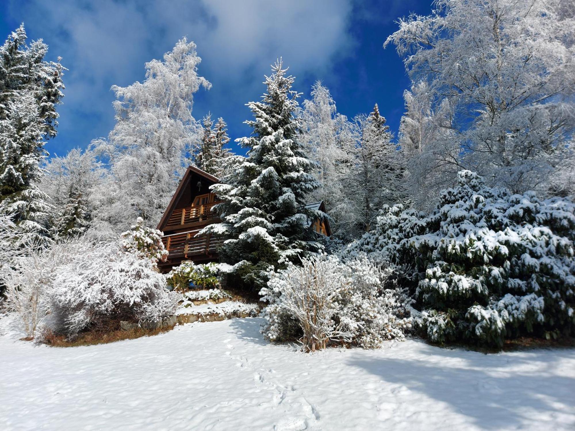 Chalet Bellevue Rogla Зрече Экстерьер фото